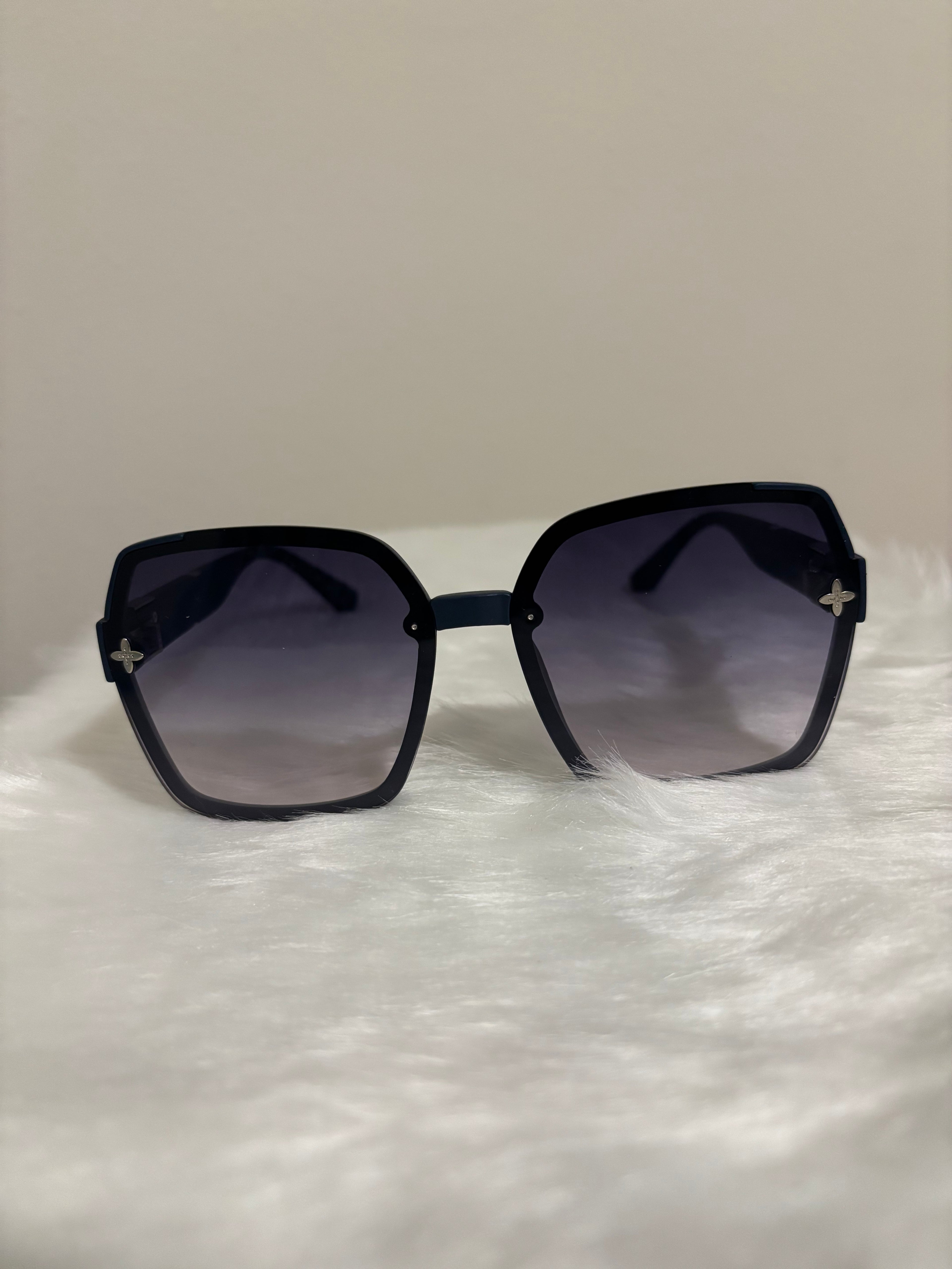 Louis Vuitton Glasses